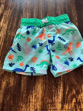 Cat & Jack Mint Green Swim Trunks with Neon Orange, Blue & Green Dinosaurs